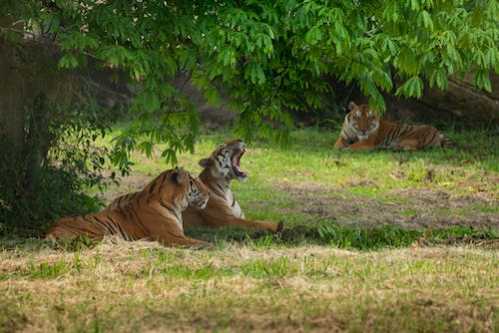 毕尔巴鄂队录像 西甲第29轮 对战vs阿拉维斯队回放 2024年03月17日 04:00比赛视频完整直播回看