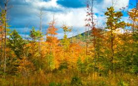 【转会中心】汉尼拔租借加盟塞维利亚姆巴佩下赛季应不会留巴黎