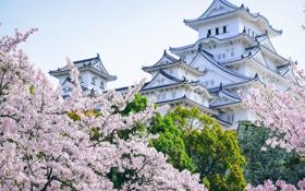 篮网队录像 NBA常规赛 对战vs尼克斯队回放 2024年03月24日 01:00比赛视频完整直播回看